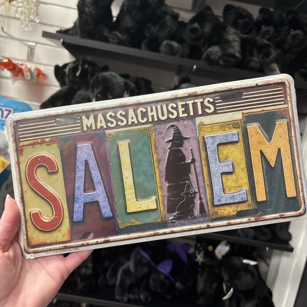 Salem Multicolor License Plate