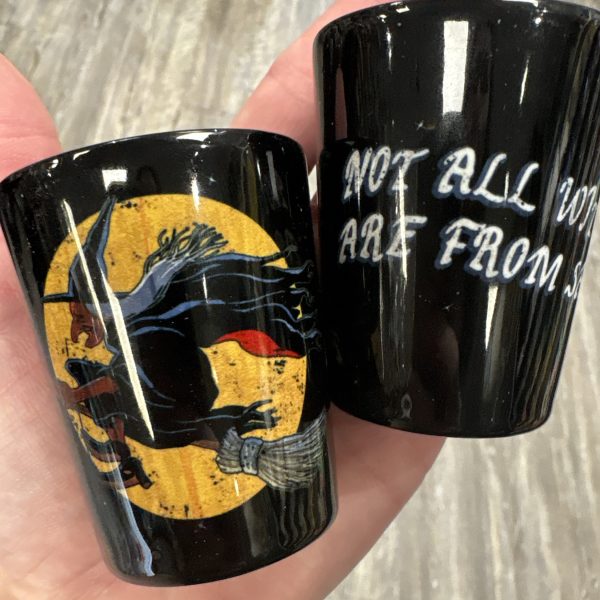 Not All Witches Are From Salem Shot Glass Witch