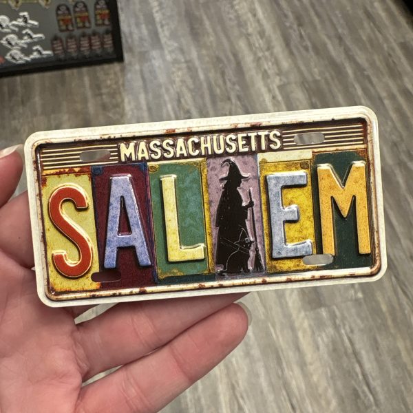 Salem Multicolor License Plate Magnet