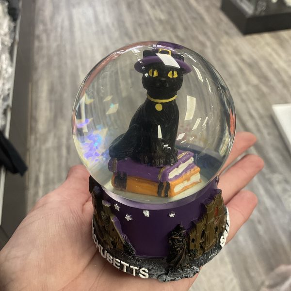 Cat Snow Globe