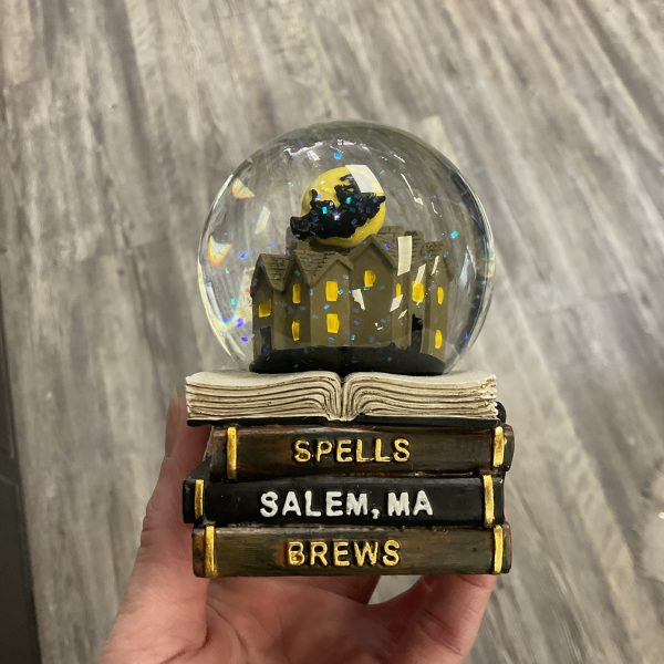 Spells Books Snow Globe